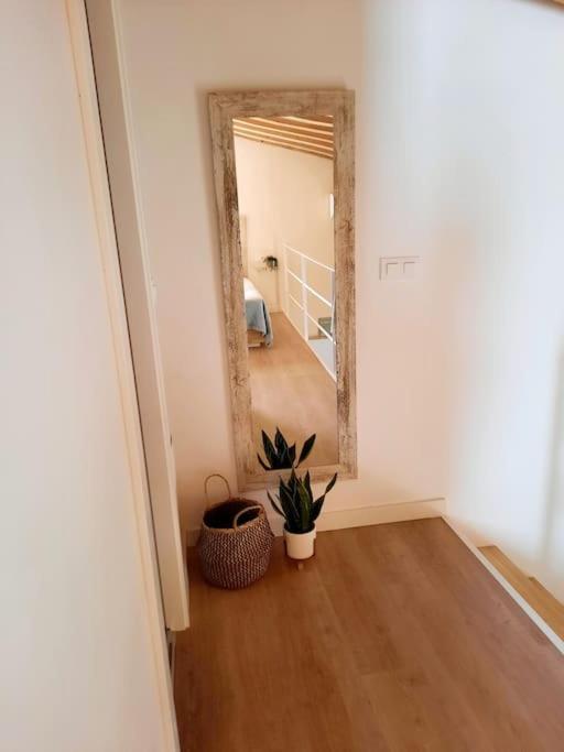 Loft Centrico Con Patio Bodega San Javier Jerez de la Frontera Exterior foto
